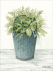 CIN1154 - Old Bucket of Greenery