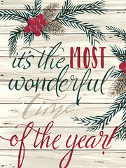 CIN1245 - It's the Most Wonderful Time Shiplap