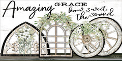 CIN1699 - Amazing Grace - 18x9