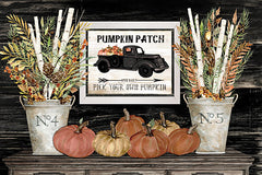 CIN1785 - Pumpkin Patch Still Life - 18x12