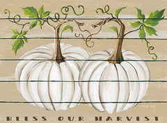 CIN856 - Bless Our Harvest