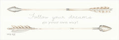 CIN898 - Arrows - Follow Your Dreams