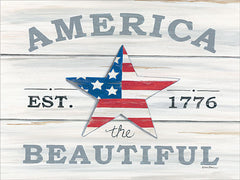 DS1667 - America the Beautiful Star - 16x12