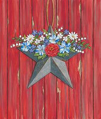 DS1700 - Barn Star