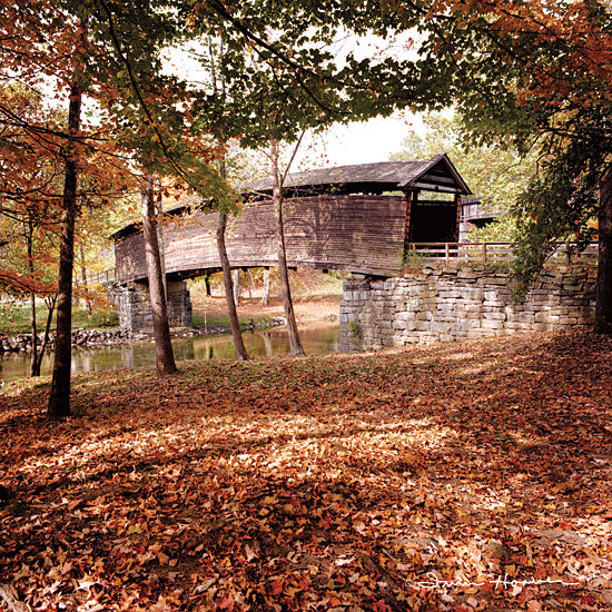 Irvin Hoover HOO102 - HOO102 - Humpback Fall - 12x12 Covered Bridge, Photography, Trees, Leaves, Landscape from Penny Lane