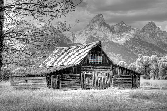 JG Studios JGS154 - JGS154 - Sign of the Feather with Flag - 18x12 Barn, Rustic, American Flag, Americana, Black & White from Penny Lane