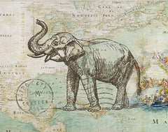 JGS173 - Elephant Trunk II - 16x12