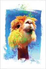 JGS176 - Rainbow Llama III - 12x18