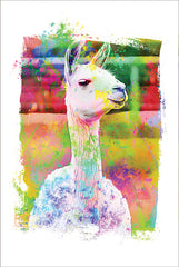 JGS177 - Rainbow Llama IV - 12x18