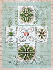 JGS204 - Vintage Coastal Green - 12x16