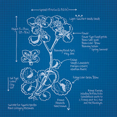 JGS238 - Blueprint Florals I - 12x12