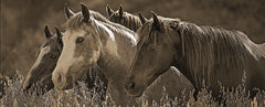 JGS297 - Horses in Gold - 20x8