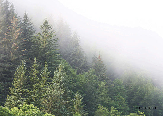 Kari Brooks KARI127 - KARI127 - Alaska Green Trees I - 18x9 Trees, Pine Trees, Evergreens, Alaska from Penny Lane