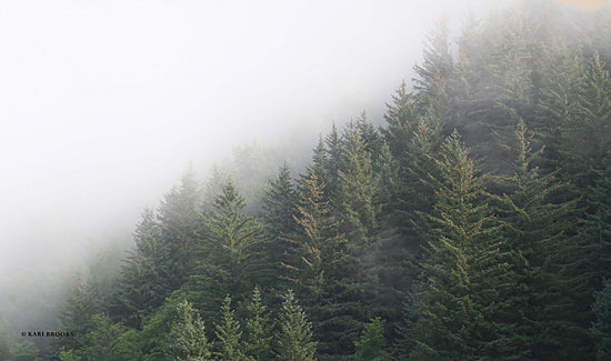 Kari Brooks KARI128 - KARI128 - Alaska Green Trees II - 18x9 Trees, Pine Trees, Evergreens, Alaska from Penny Lane