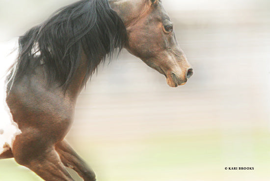 Kari Brooks KARI139 - KARI139 - Leap of Faith - 18x12 Photography, Horse, Portrait from Penny Lane