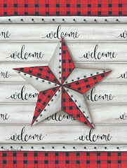 KEN1045 - Plaid Welcome Barnstar - 12x16