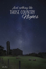 LD1105 - Country Nights - 12x18