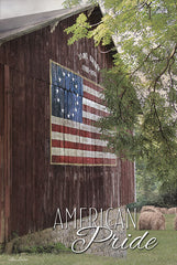 LD1256 - American Pride - 12x18