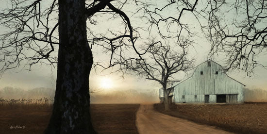 Lori Deiter LD1406 - Millersburg Sunrise Farm, Barn, Tree, Road,  Sunrise, Millersburg from Penny Lane