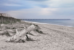 LD1547 - Outer Banks Beach  - 18x12