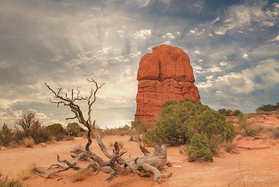 Lori Deiter LD1549 - Arches National Park I - 18x12 Arches National Park, Moab Desert, Utah, Desert from Penny Lane