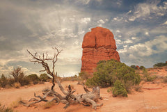 LD1549 - Arches National Park I - 18x12