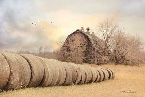 Lori Deiter LD1649 - Good Day on the Farm - 18x12 Hay Bales, Farm, Barn, Harvest, Autumn, Photography from Penny Lane