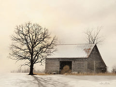 LD1670 - Winter Shadows   - 16x12
