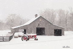 LD1695 - Tractor for Sale - 18x12