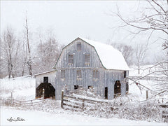 LD1699GP - Blue Tinted Barn