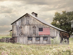 LD1748 - Rural Virginia Barn - 16x12