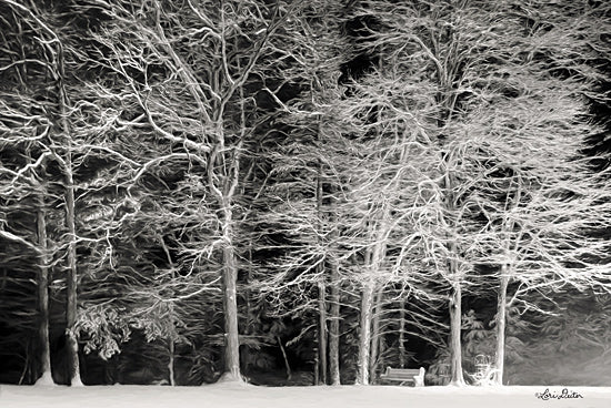 Lori Deiter LD1763 - LD1763 - Snowy Trees - 18x12 Snowy Trees, Forest, Winter, Snow, Landscape from Penny Lane