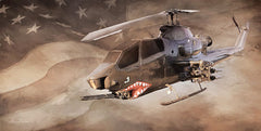 LD1830 - Freedom Fighter - 18x9