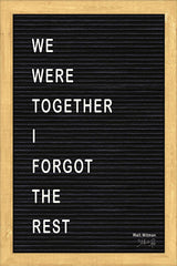 MAZ5095GP - We Were Together Felt Board