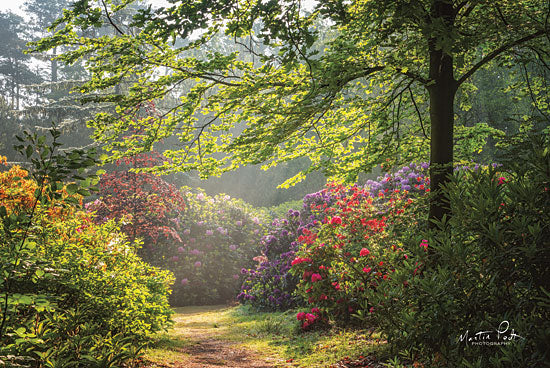 Martin Podt MPP443 - Garden of Eden Trees, Path, Flowers, Wildflowers, Garden from Penny Lane