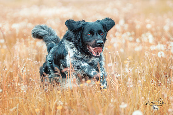 Martin Podt MPP445 - Woof Dog, Black Dog, Meadow, Wildflowers from Penny Lane