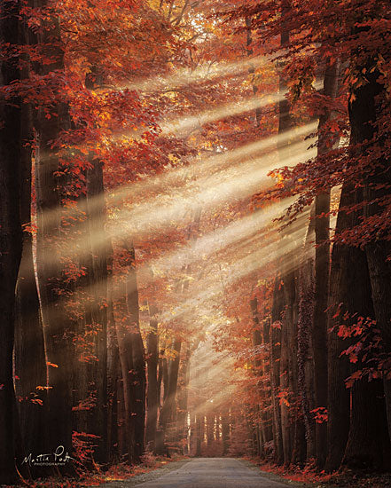 Martin Podt MPP498 - Ladies in Red - 12x16 Path, Pathway, Forest, Trees, Sunlight, Red Leaves, Autumn from Penny Lane