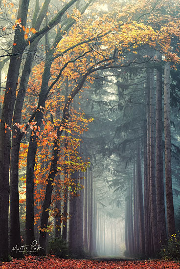 Martin Podt MPP507 - MPP507 - To Another World    - 12x18 Trees, Fall, Pathway, Photography from Penny Lane