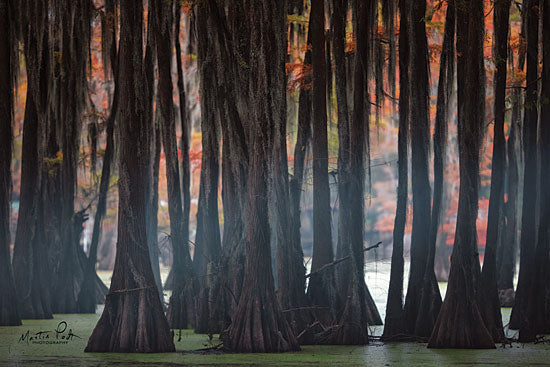 Martin Podt MPP523 - Bars - 18x12 Trees, Forest, Mossy Leaves, Moss from Penny Lane