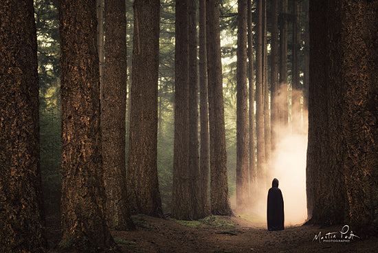 Martin Podt MPP564 - MPP564 - Ruben II - 18x12 Trees, Forest, Sunlight, Figurative, Photography from Penny Lane