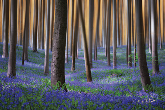 Martin Podt MPP571 - MPP571 - Hallermotion - 18x12 Trees, Floral, Photography from Penny Lane