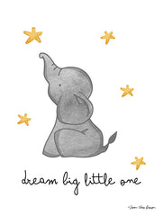 ST124 - Dream Big Little One