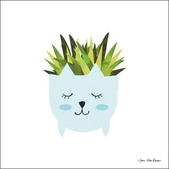 ST379 - Cat Plant