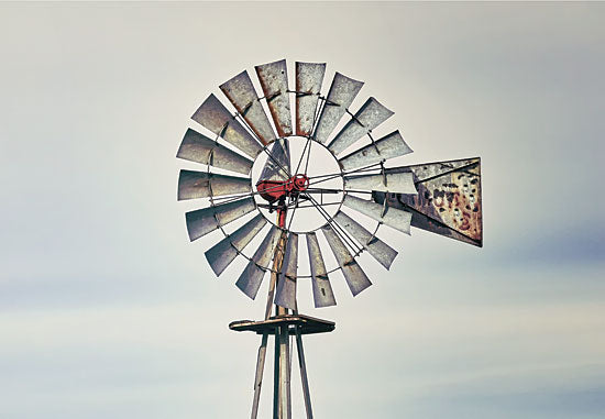 White Ladder WL133 - Windmill Close-Up Windmill, Farm from Penny Lane